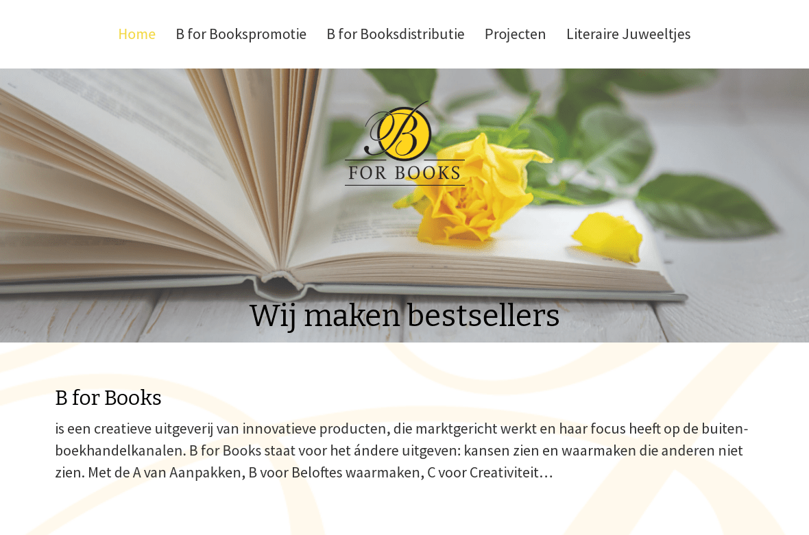 Portfolio B4Books