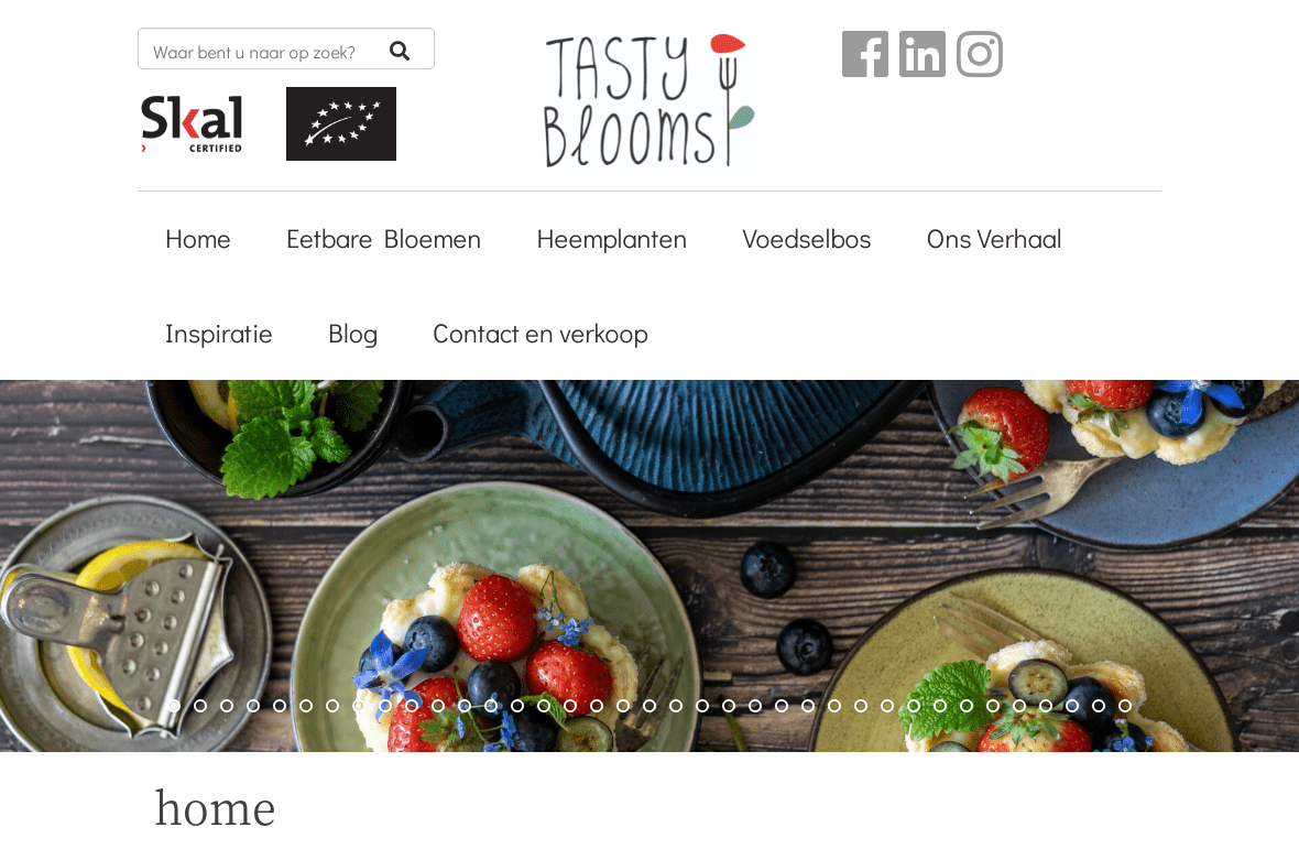 Portfolio Tastyblooms